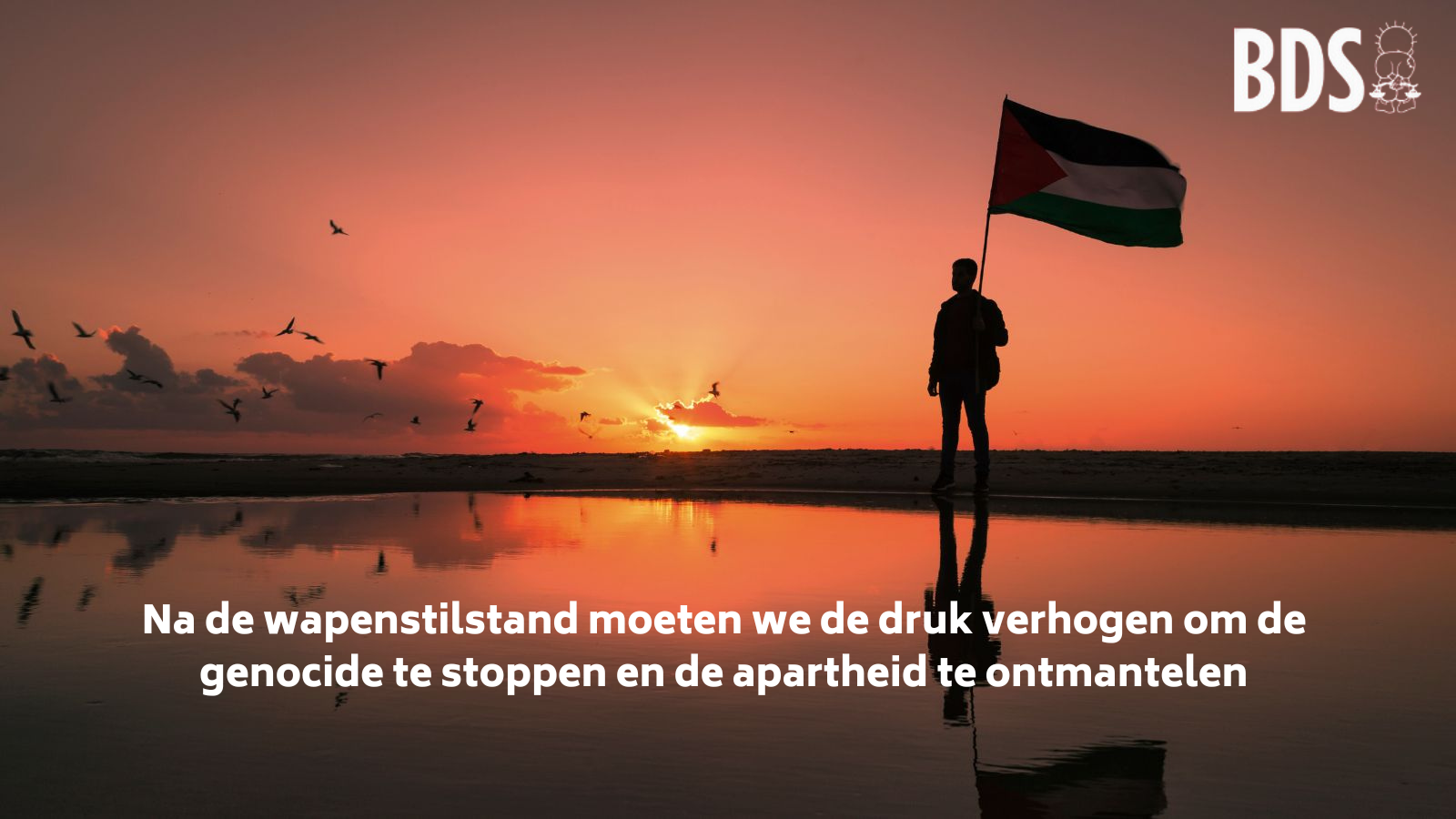 De dag na het staakt-het-vuren: voer de druk op de genocide te stoppen en help ons de apartheid te ontmantelen